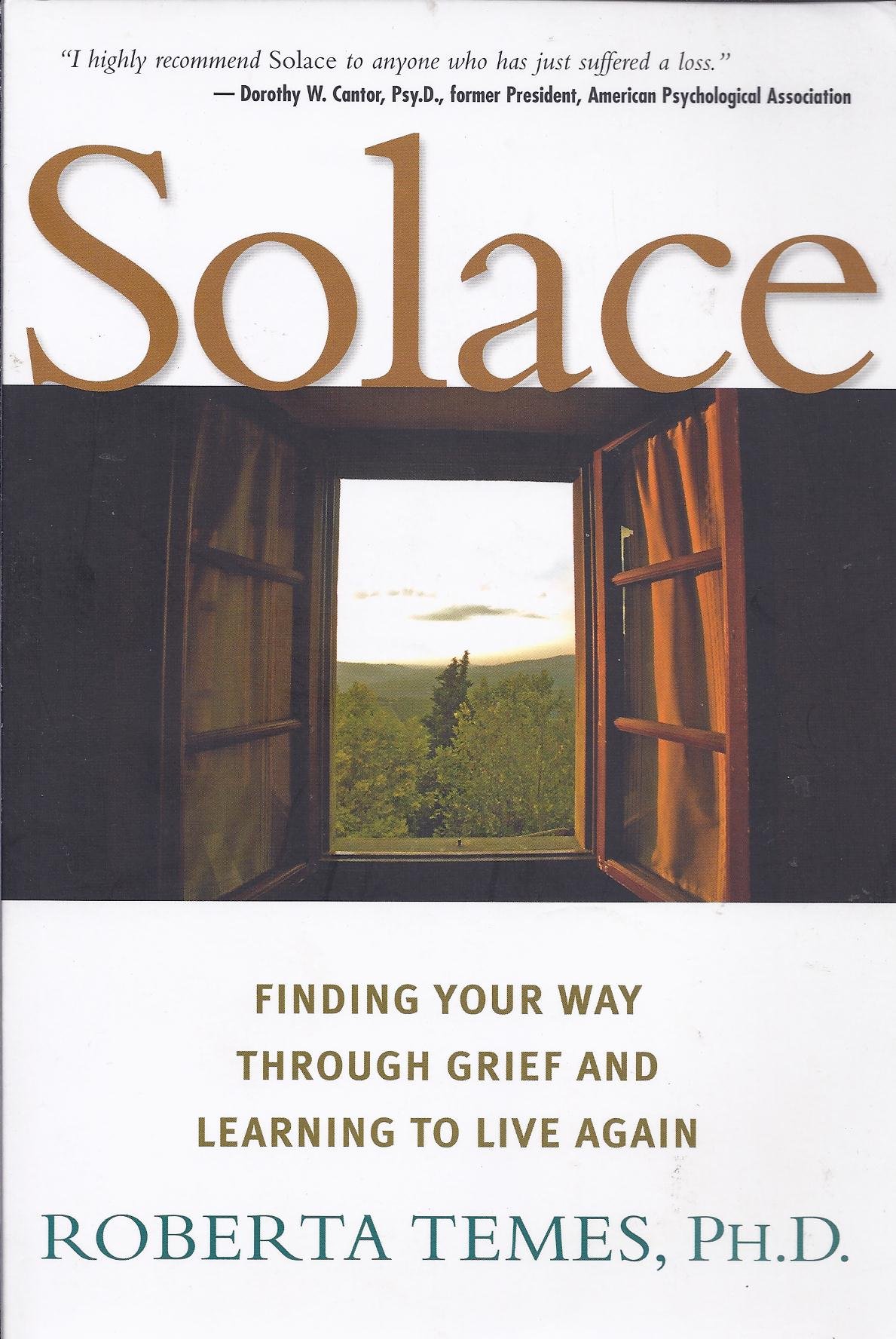 Solace : finding your way through grief and learning to live again