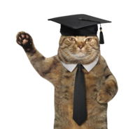 Catgraduation.png