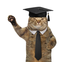 Catgraduation.png