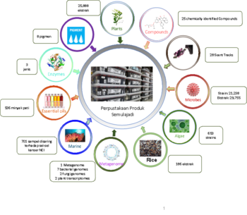 Rajah3 Perpustakaan Produk Semulajadi.png